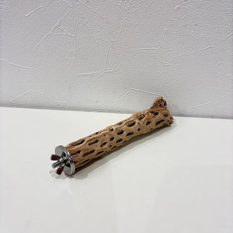 カクタスパーチ極小サイズ⑤ 直径約2.5cm/長さ15cm【自然木 止まり木 バンブルフット 趾瘤症 】