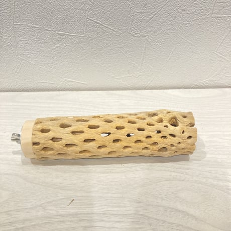 カクタスパーチ小⑳ 直径約3~4cm 長さ15cm