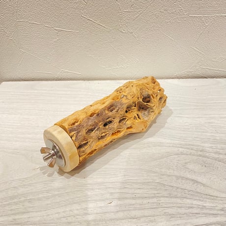 カクタスパーチ【13】直径4~5cm/長さ13.5cm
