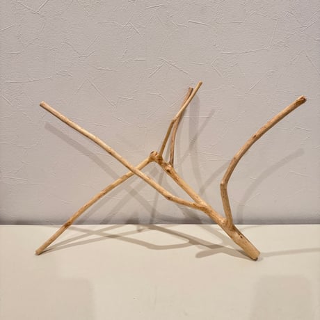 槇（マキ）のピノキオの鼻【自然木の止まり木 インコのおもちゃ】