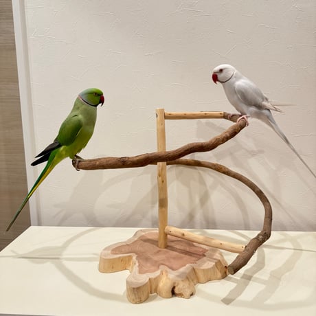 ツタのぐるぐるバードアスレチック 【インコ 天然木 自然木 パーチ 止まり木】