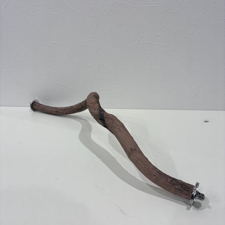 自然木（ツタ）うねうねパーチ③  HOEI465 直径約1.9~2.4cm/長さ44cm