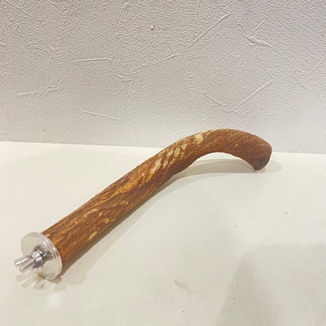 自然木（ツタ）パーチ 直径約2.5cm/長さ22cm