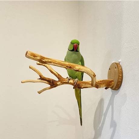 ピノキオの鼻 ⑦