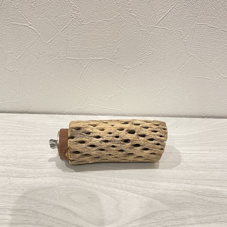 カクタスパーチ⑭  中 直径約5.5cm/11cm