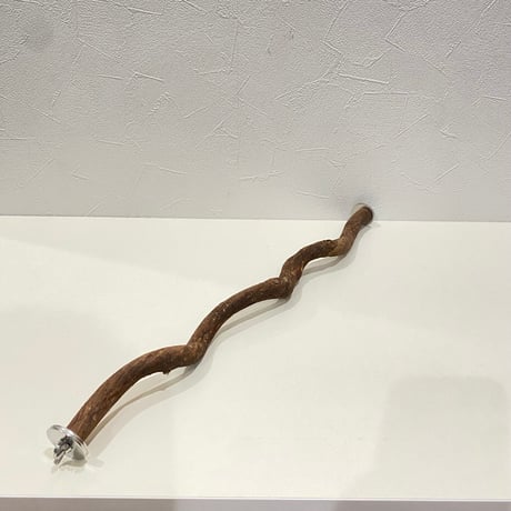 殿様パーチ（自然木ツタ） HOEI465サイズ 直径約1.6cm
