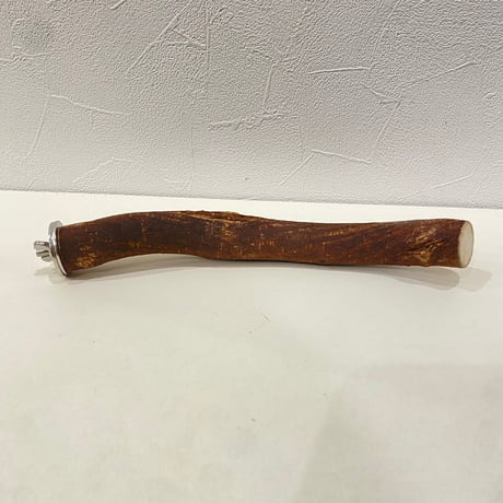 自然木（ツタ）パーチ 直径2.3cm/長さ21cm