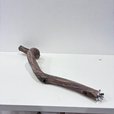 自然木（ツタ）うねうねパーチ⑥  HOEI465 直径約2.5cm/長さ44cm