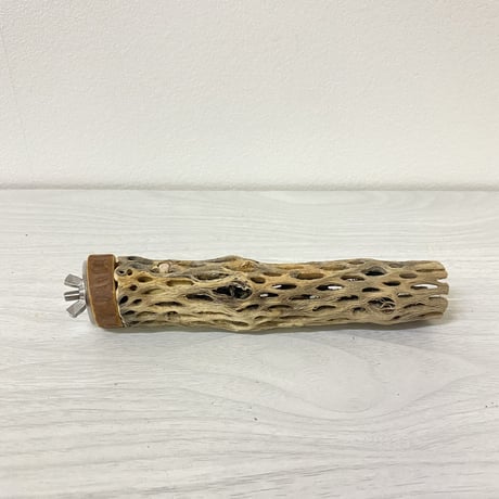 カクタスパーチ⑥ 極小サイズ 直径（約2-3cm）長さ/15cm