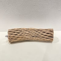 カクタスパーチ(O) 直径約5cm/長さ19cm