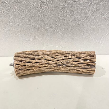 カクタスパーチ | STORES