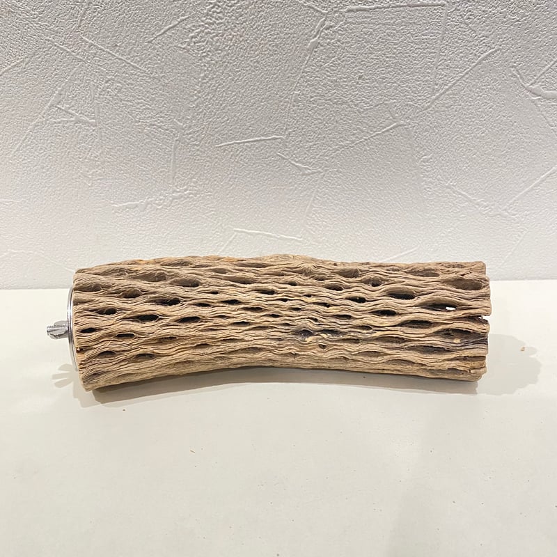 カクタスパーチ(O) 直径約5cm/長さ19cm | 自然木の鳥用品 鳥豆堂