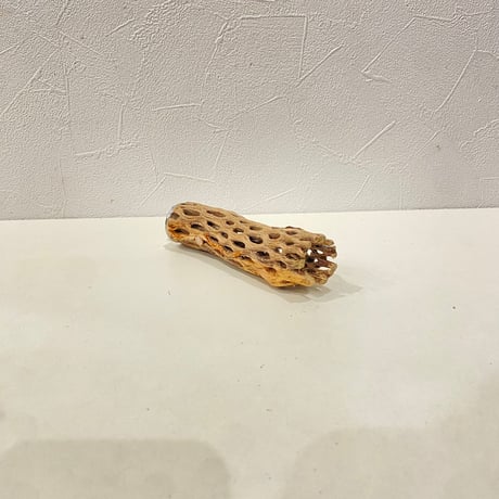 カクタスパーチ① 直径約3cm/長さ13cm