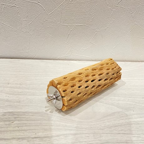 カクタスパーチ【a】中 直径約5.5cm/15cm