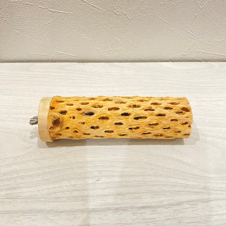 カクタスパーチ【15】直径3~4cm/長さ14cm