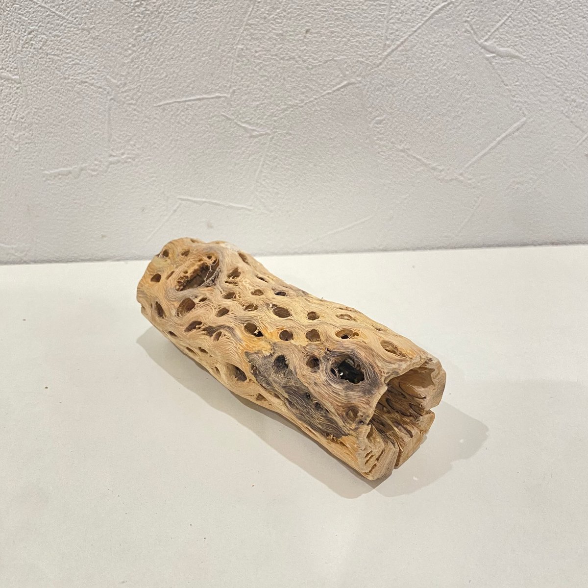 カクタスパーチ(D) 直径約4.5cm/長さ13cm | 自然木の鳥用品 鳥豆堂