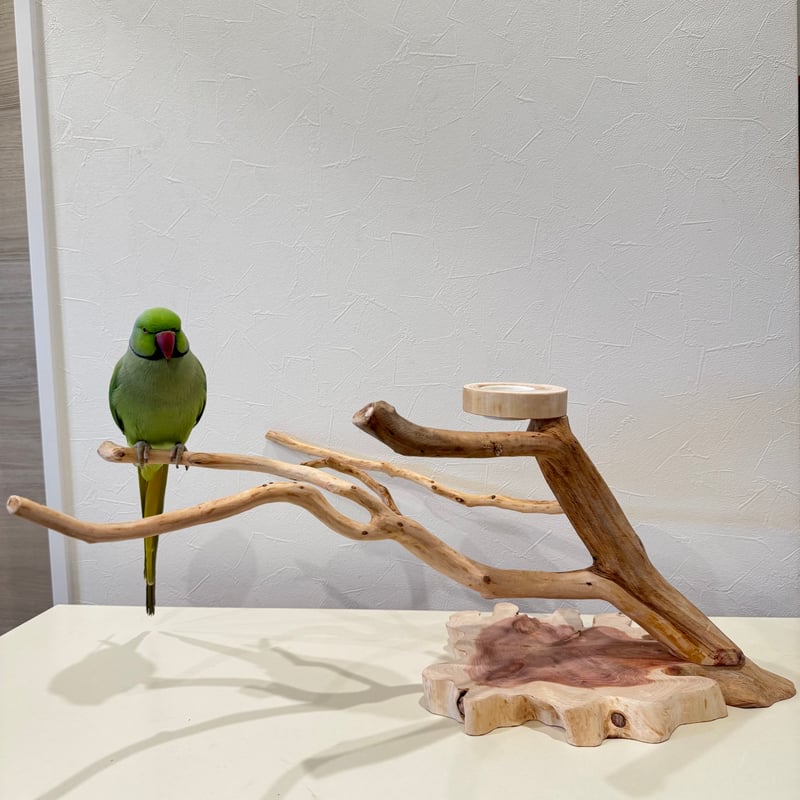 貝塚伊吹おやつ入れ付きスタンドパーチ 【インコ 自然木 止まり木