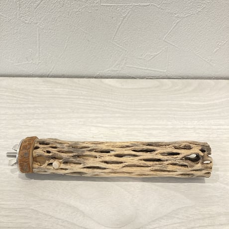 カクタスパーチ⑥  極小 直径3cm前後 長さ15cm