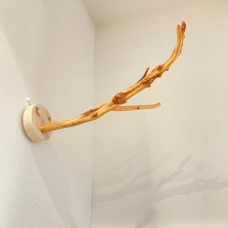 ピノキオの鼻 ⑦