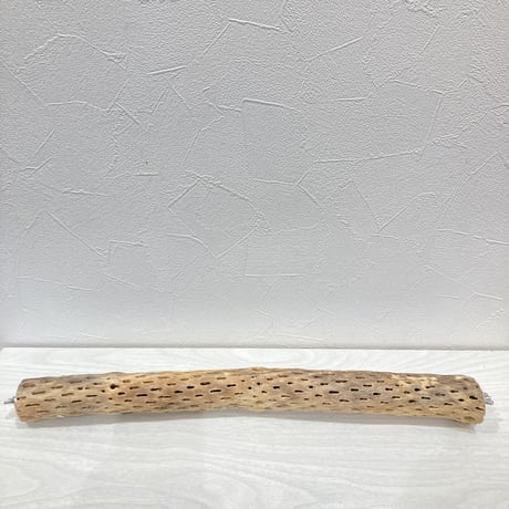 ケージサイズカクタスパーチ③ 小サイズ直径3-4cm HOEI465サイズ
