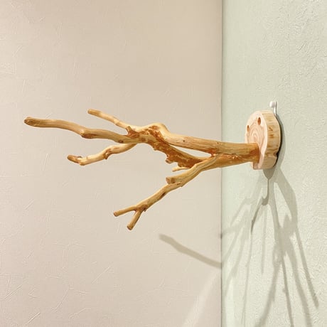 ピノキオの鼻④