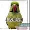 【ノラ様専用】おやつ入れテーブルパーチ 【インコ・オウムのおもちゃ・自然木の止まり木】