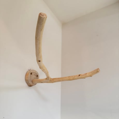 桧のピノキオの鼻④