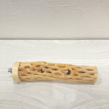 カクタスパーチ【10】小 直径約3.5cm 長さ15cm
