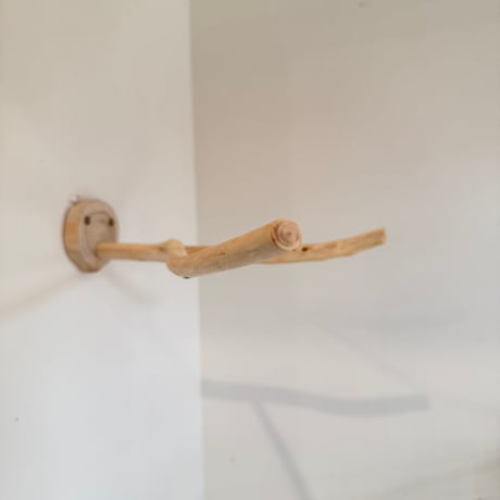 桧のピノキオの鼻⑤