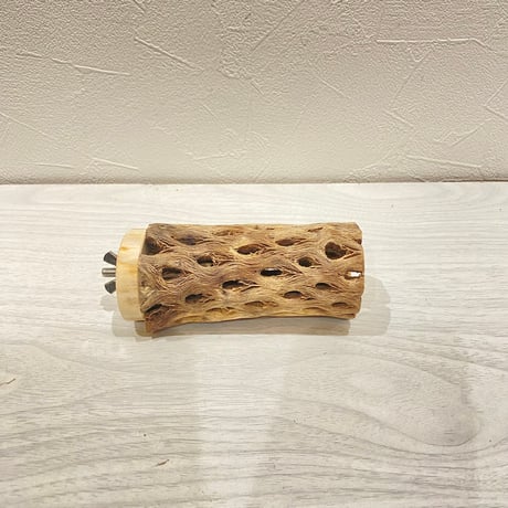 カクタスパーチ【1】直径4~5cm/長さ10cm