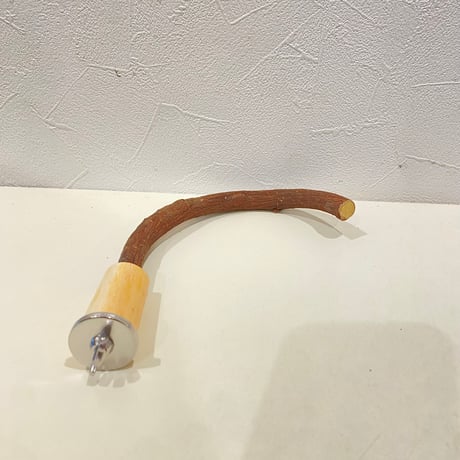 自然木（ツタ）フック船長パーチ　パーチ直径1.5cm