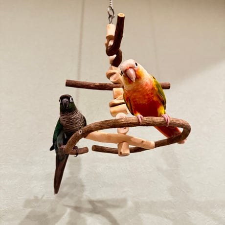 ゆらゆらUFOブランコ 【自然木の止まり木 インコのおもちゃ】