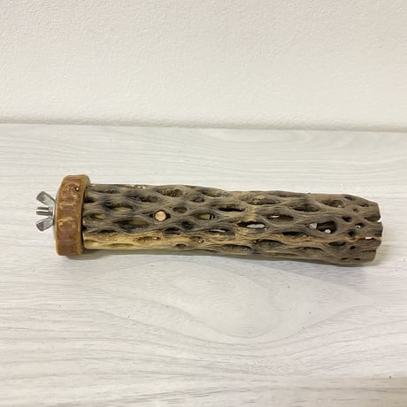 カクタスパーチ③ 小サイズ 直径（約3-4cm）長さ/15cm