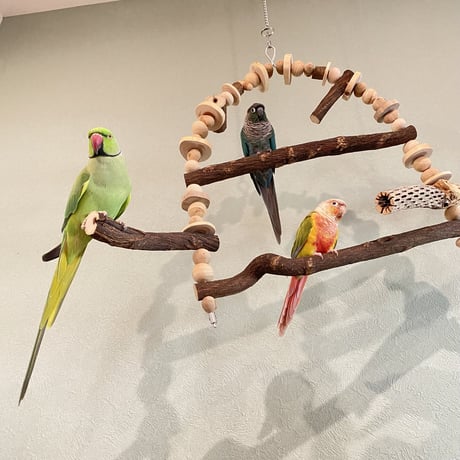 ポテトヘッドくんA　カスタムアスレチックブランコ【インコのおもちゃ・自然木のとまり木】