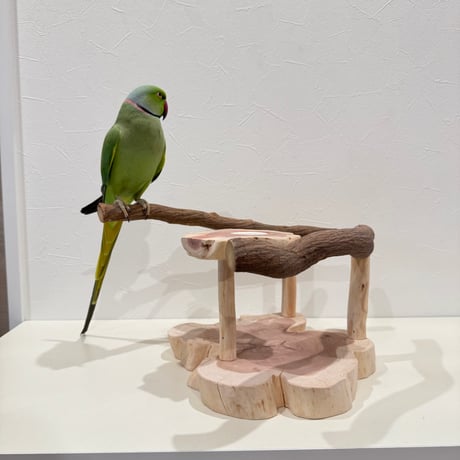 ツタのおやつ入れ付きスタンドパーチ【インコ 天然木 自然木 パーチ 止まり木】