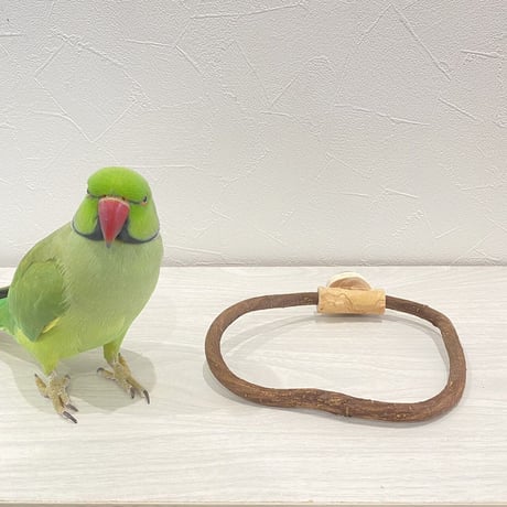 自然木（ツタ）のドーナツパーチビックサイズ  Ｎパーチ直径1cm／円直径14.5×17cm