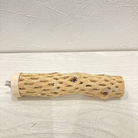 カクタスパーチ小⑲ 直径約3~4cm 長さ15cm