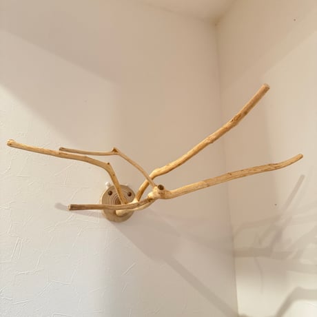 槇（マキ）のピノキオの鼻【自然木の止まり木 インコのおもちゃ】