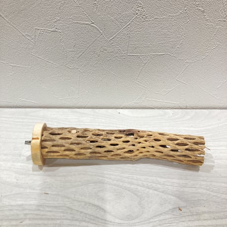 カクタスパーチ小④  直径約3~4cm 長さ20cm