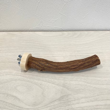 自然木（ツタ）パーチ③  直径2cm 長さ15cm