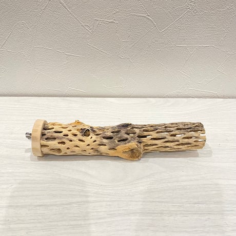 カクタスパーチ小直径3~4cm 長さ20cm ⑧