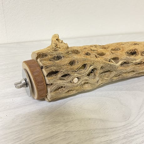 【中型・大型用】カクタスパーチ中③　直径5cm／長さ19.5cm