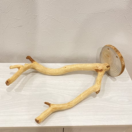 ピノキオの鼻⑤  貝塚伊吹