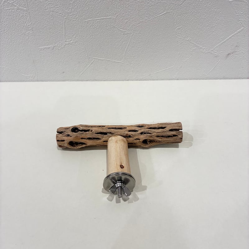 リバティ☆さま専用カクタス パーチ 特注品 【公式通販】
