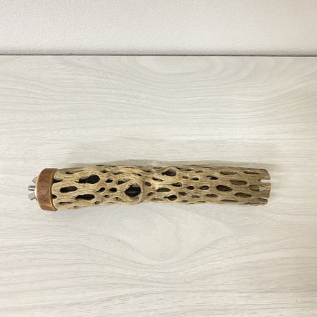 カクタスパーチ⑤ 極小サイズ 直径（約2-3cm）長さ/18cm