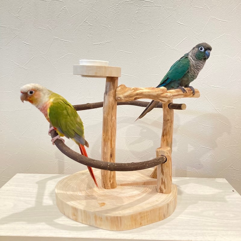 ツタのぐるぐるバードアスレチック④【インコのおもちゃ・自然木の