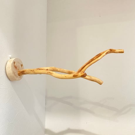 ピノキオの鼻 ⑧