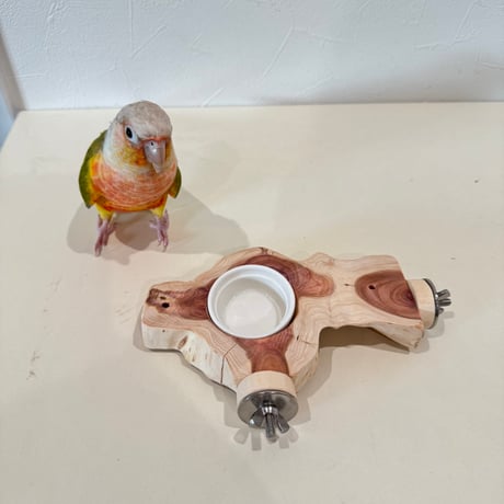 貝塚伊吹おやつ入れつきコーナーパーチ