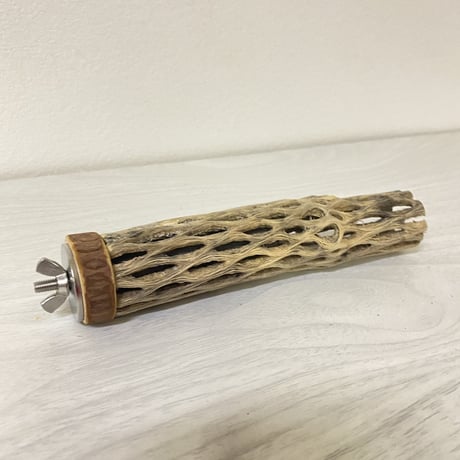 カクタスパーチ⑧ 極小サイズ 直径（約2-3cm）長さ/15cm