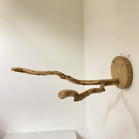 ピノキオの鼻②